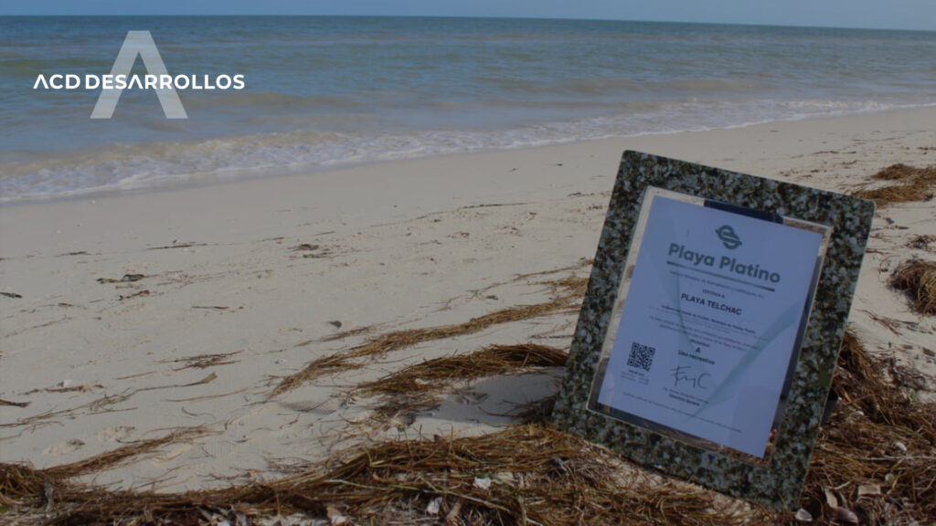 Invierte en Sisal Playa platino por excelencia en Yucatán