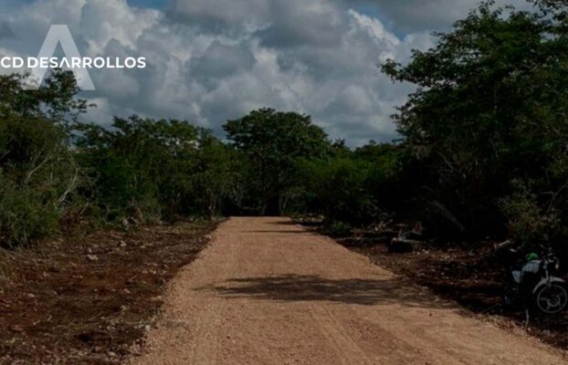 Las Calles Blancas: ¿Qué son y en que consisten?